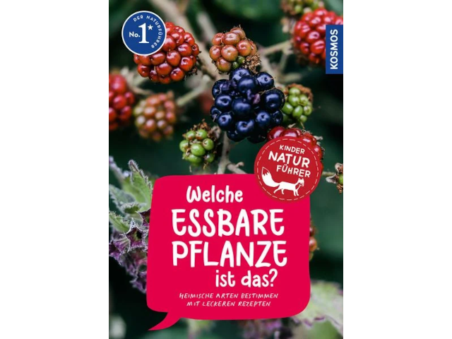 Welche essbare Pflanze ist das? Kindernaturführer