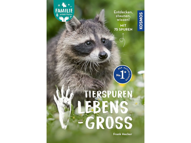 Tierspuren Lebensgross