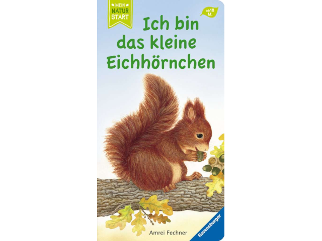 Ich bin das kleine Eichhörnchen