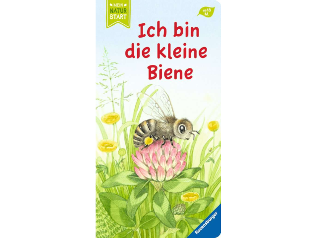 Ich bin die kleine Biene