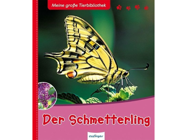 Meine große Tierbibliothek: Der Schmetterling