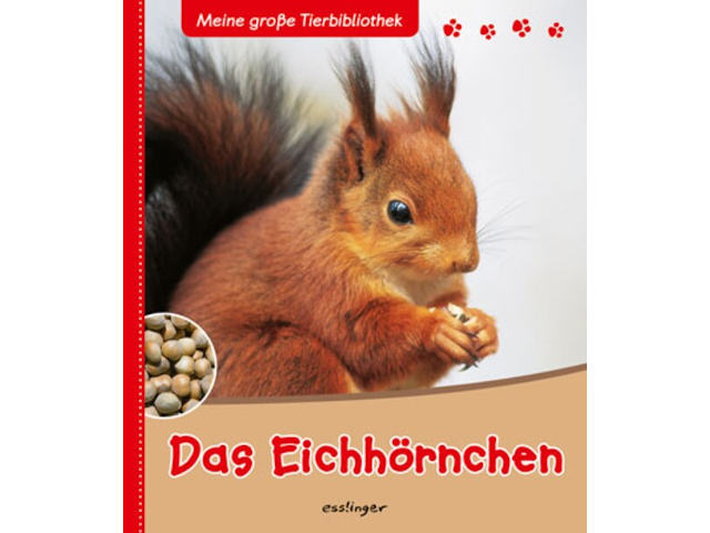 Meine große Tierbibliothek: Das Eichhörnchen