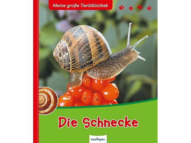 Meine große Tierbibliothek: Die Schnecke