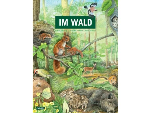 Im Wald