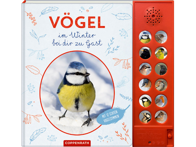 Vögel im Winter bei dir zu Gast