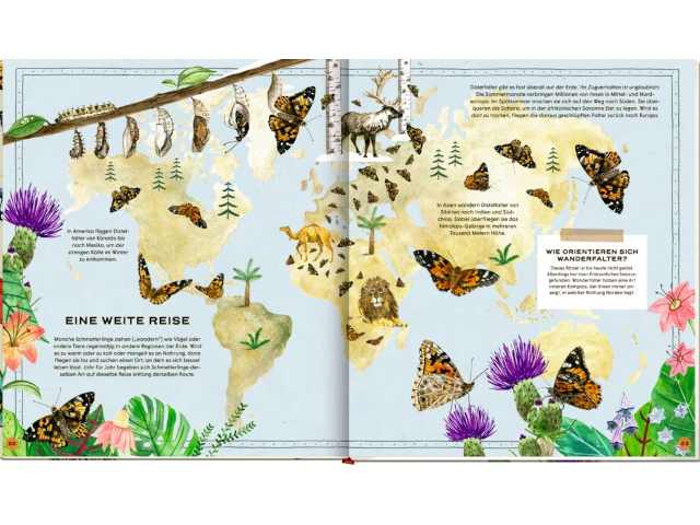 Die geheime Welt der Schmetterlinge - ein Sachbilderbuch - 0
