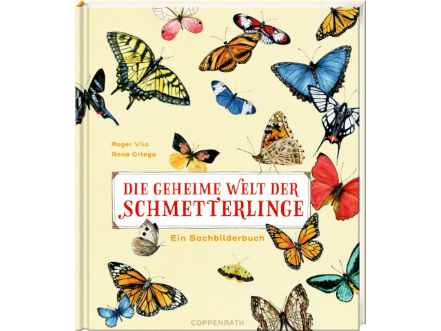 Die geheime Welt der Schmetterlinge - ein Sachbilderbuch