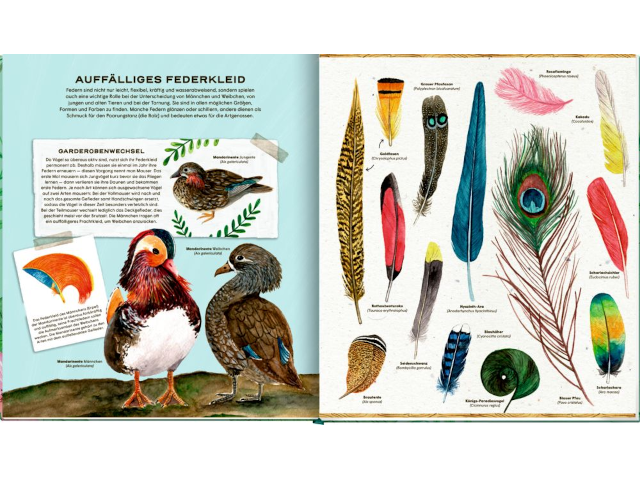 Die geheime Welt der Vögel - ein Sachbilderbuch - 0