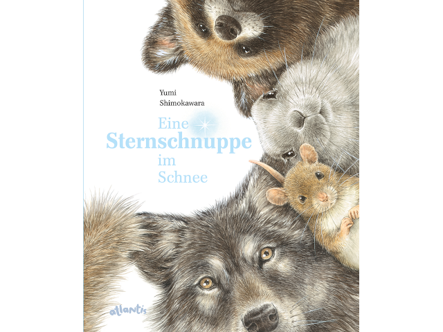Eine Sternschnuppe im Schnee