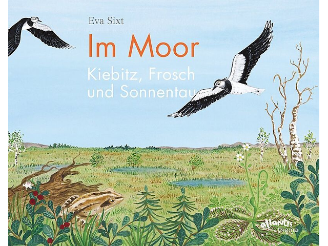 Im Moor - Kiebitz, Frosch und Sonnentau