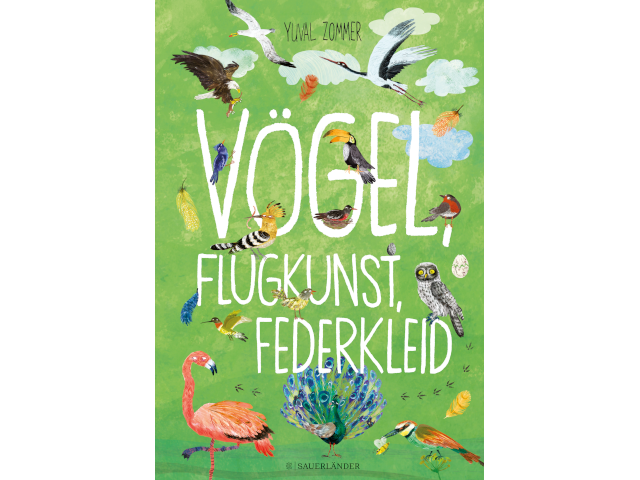 Vögel, Flugkunst, Federkleid