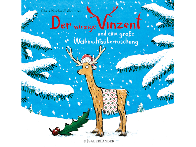 Der winzige Vinzent und eine grosse Weihnachtsüberraschung