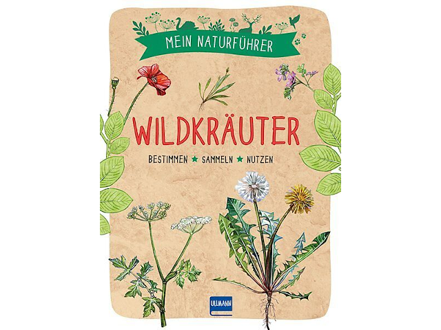 Mein Naturführer - Wildkräuter