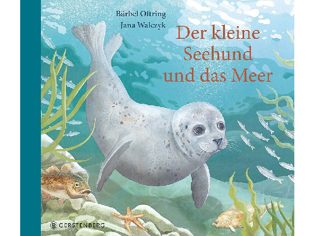 Der kleine Seehund und das Meer
