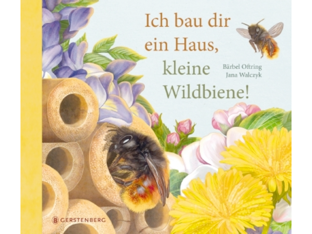 Ich bau dir ein Haus, kleine Wildbiene