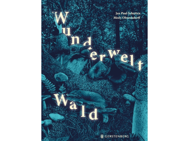 Wunderwelt Wald