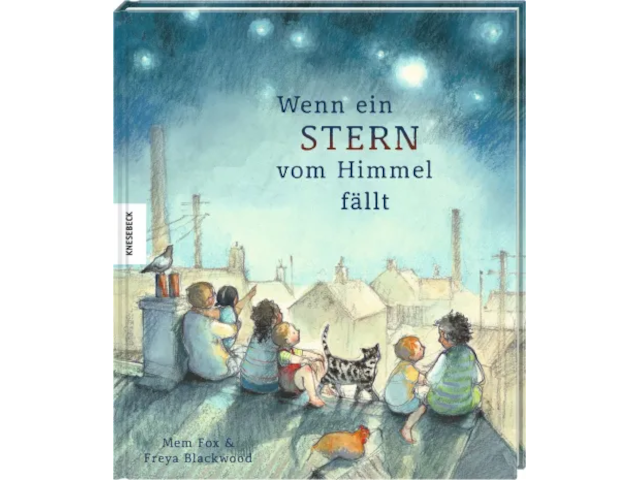 Wenn ein Stern vom Himmel fällt