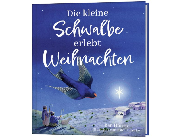 Die kleine Schwalbe erlebt Weihnachten