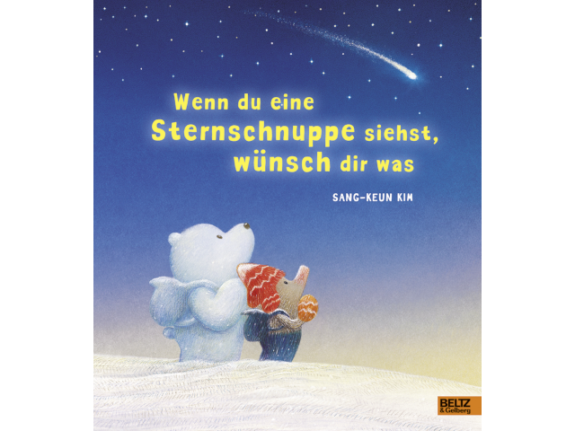 Wenn du eine Sternschnuppe siehst
