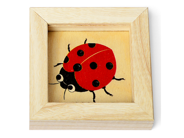 Kügelispiel Käfer