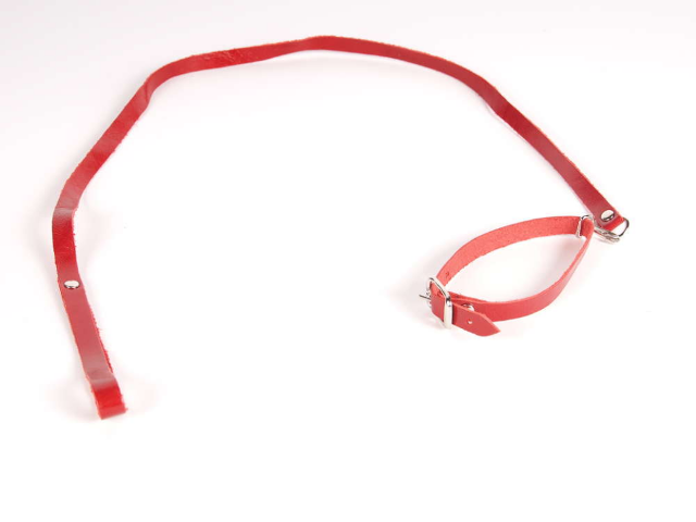 Hundeleine m. Halsband rot