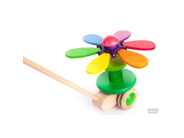 Regenbogenblume bunt