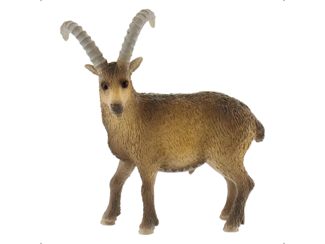 Steinbock