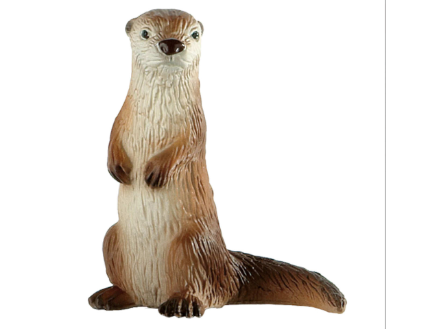 Fischotter