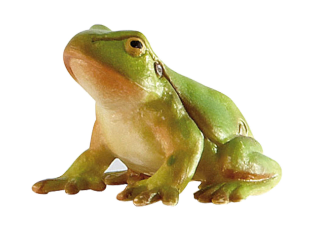 Laubfrosch
