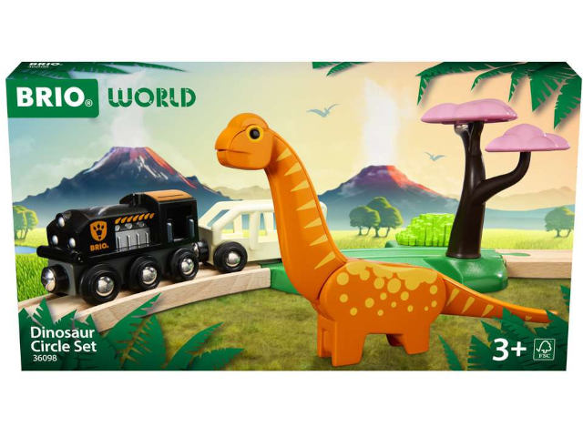 Dinosaur Circle Set