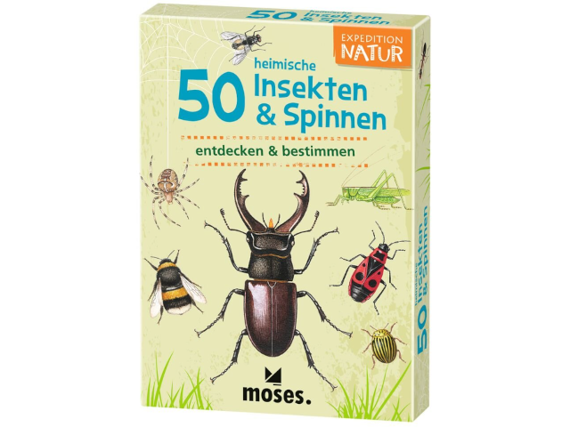 Expedition Natur 50 Insekten und Spinnen