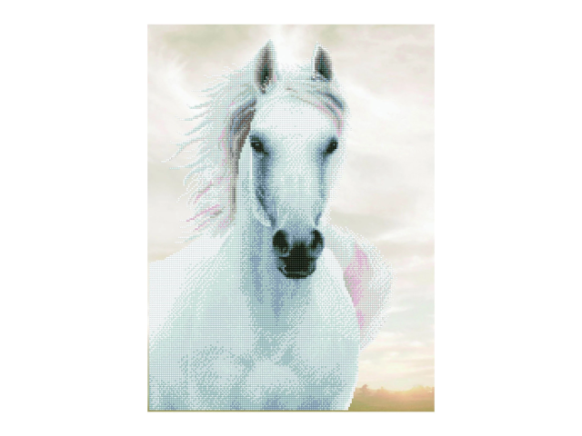 Diamond Painting Pferd weiss
