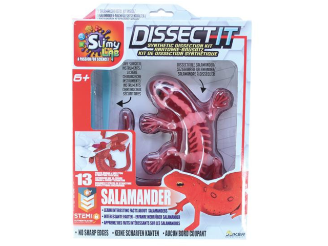 Dissect-it Salamander (sezierbar)