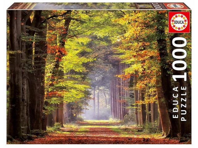 Puzzle 1000 Teile Herbstweg durch Wald