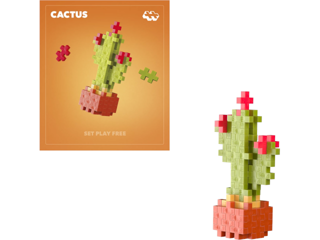 48 Kreativ Bausteine Kaktus