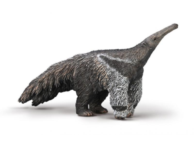Grosser Ameisenbär