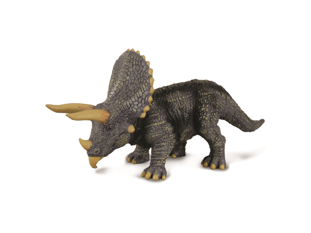Triceratops