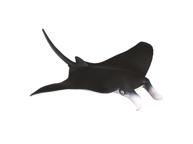 Mantaroche
