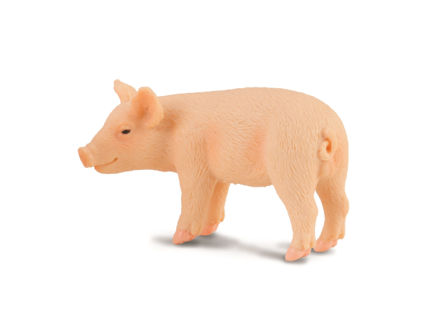 Ferkel stehend