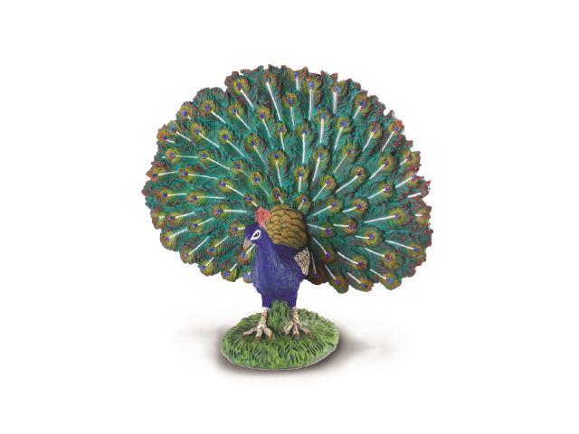 Pfau