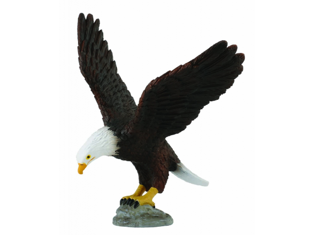 Weisskopfseeadler