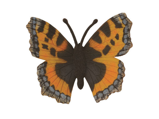 Kleiner Fuchs (Schmetterling)