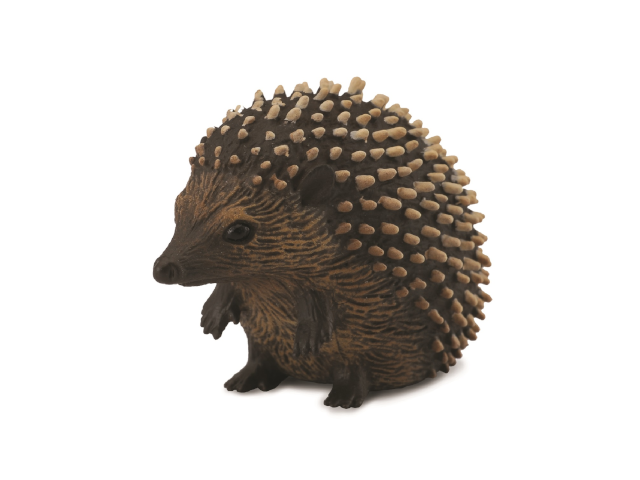Igel
