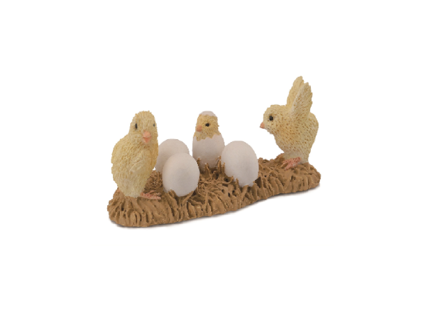 Küken schlüpfend