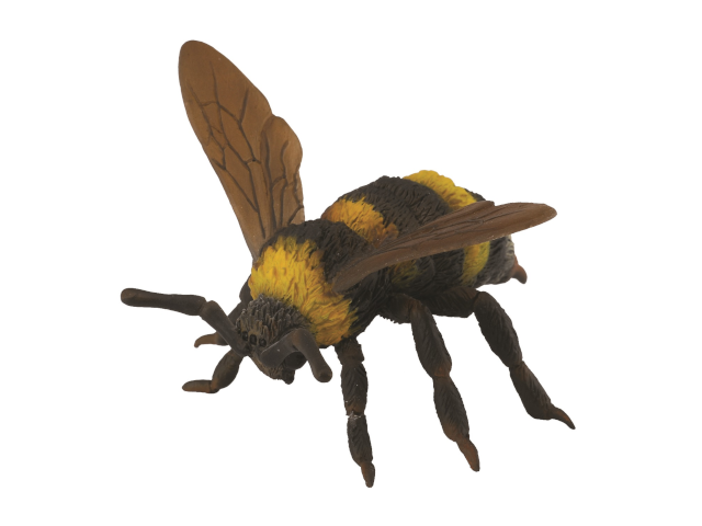 Hummel