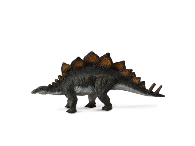 Stegosaurus