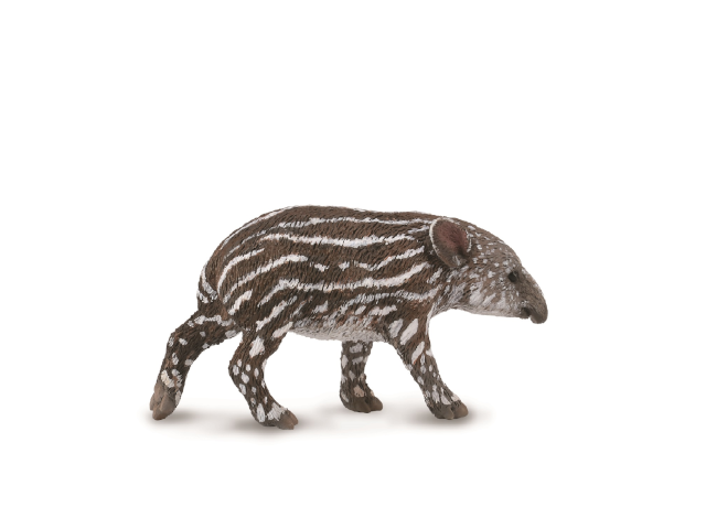 Mittelamerikanisches Tapir-Junges