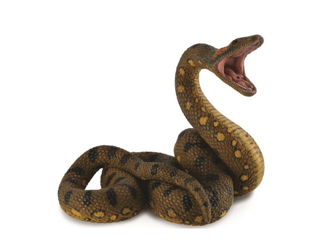 Grüne Anaconda