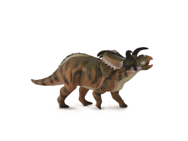 Medusaceratops
