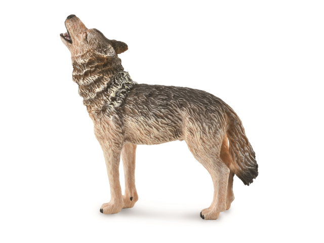 Timberwolf heulend
